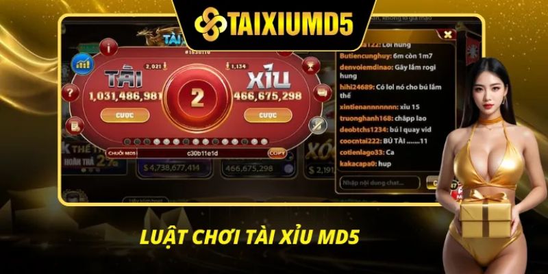 Tài Xỉu MD5 HitClub giao diện rõ ràng dễ tham gia